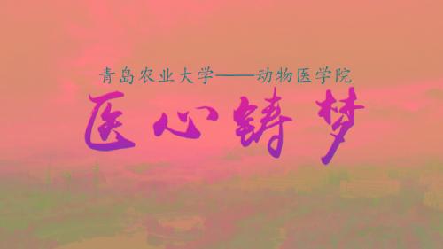医心铸梦--2018年beat365正版教学科研宣传片